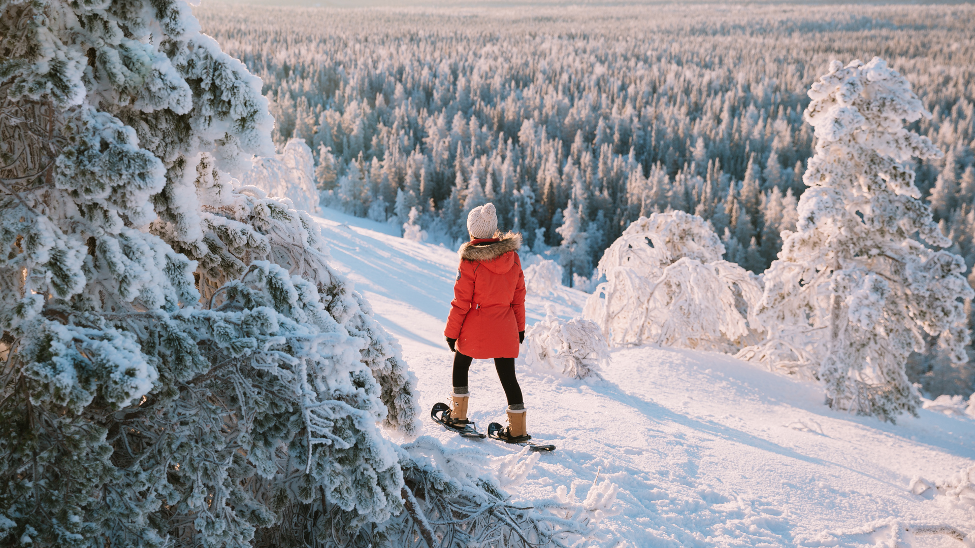 Ylläs